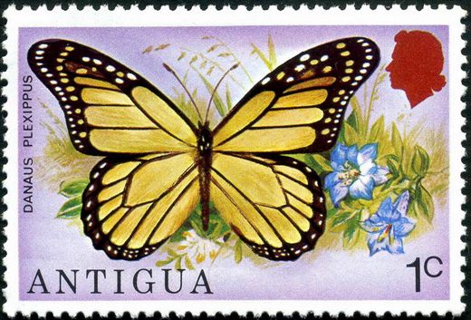 Antigua - 1975 - Borboletas - 1C
