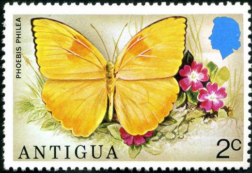 Antigua - 1975 - Borboletas - 2C