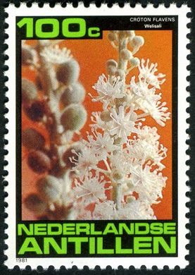 Antilhas Holandesas - 1981 - Flora Local - 100C