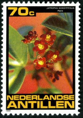 Antilhas Holandesas - 1981 - Flora Local - 70C