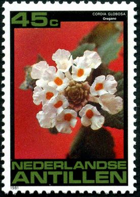 Antilhas Holandesas - 1981 - Flora Local - 45C