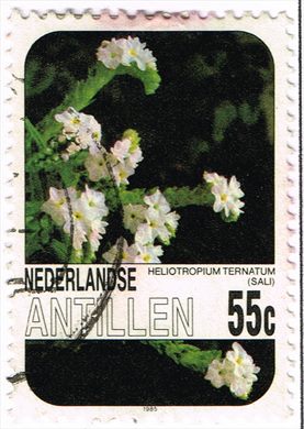 Antilhas Holandesas - 1985 - Flora - 55C