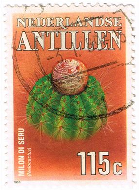 Antilhas Holandesas - 1988 - Flora Cactus - 115C