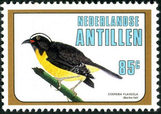 Antilhas Holandesas - 1997 - Aves Locais - 85C