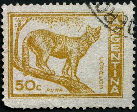 Argentina - 1954 - Proceres e Riquezas - 50C