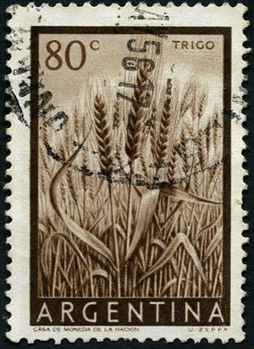 Argentina - 1954 - Trigo - 80C