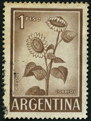 Argentina - 1955 - Girasol - 1Peso