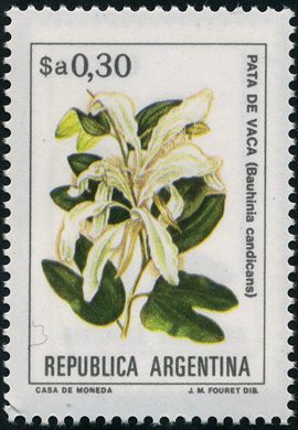 Argentina - 1982 - Flores Nativas - 0 30SaArgentino