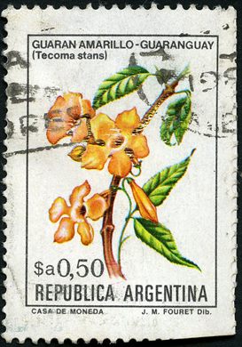 Argentina - 1982 - Flores Nativas - 0 50SaArgentino
