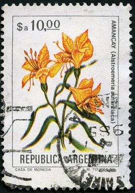 Argentina - 1982 - Flores Nativas - 10SaArgentino