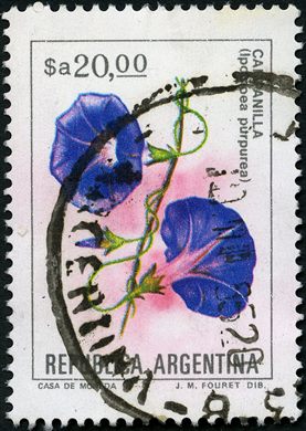 Argentina - 1982 - Flores Nativas - 20SaArgentino