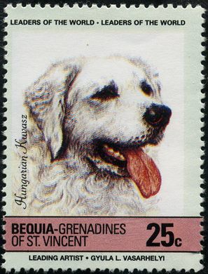 Bequia - 1985 - Caes - Kuvasz Hungaro - 25C