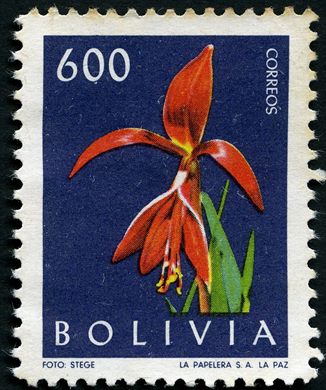 Bolivia - 1962 - Flora - 600Bs