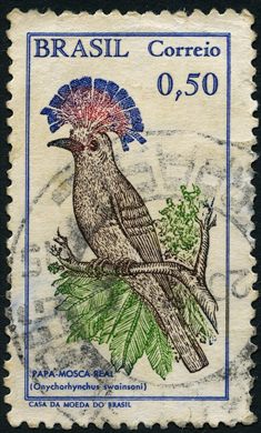 Brasil - 1968 - Museu Nacional 150 Anos - 0.50Cr
