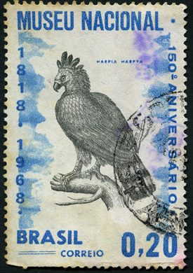 Brasil - 1968 - Museu Nacional 150 Anos - 0.20Cr