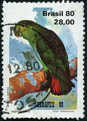 Brasil - 1980 - LUBRAPEX 80 Fauna Aves - 28Cr
