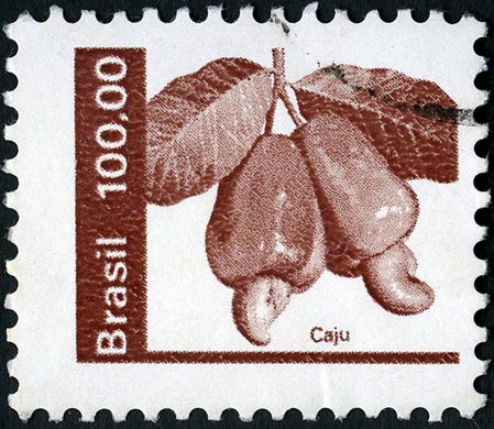 Brasil - 1982 - Economia e Cultura - 100Cr