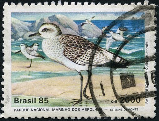 Brasil - 1985 - Parque Nacional Abrolhos - 2000Cr