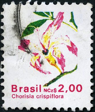Brasil - 1989 - Flora - Chorisia crispiflora - NCz2.00