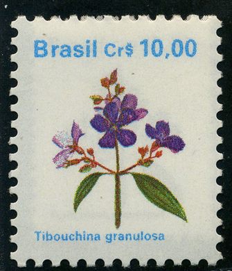 Brasil - 1990 - Flora Brasileira - 10Cr