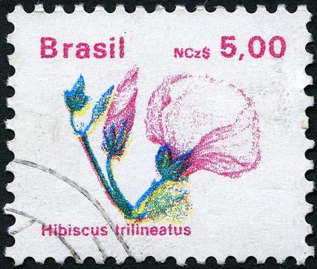 Brasil - 1990 - Flora - 5NCz