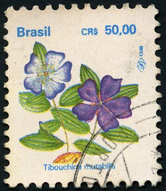 Brasil - 1990 - Flora - Tibouchina mutabilis - CRS50.00