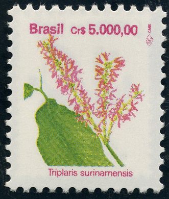 Brasil - 1993 - Flora Brasileira - 5000Cr
