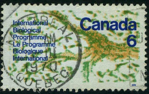 Canada - 1970 - Programa Biologico Internacional - 6C