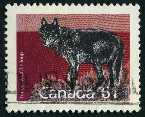 Canada - 1990 - Fauna - Timber Wolf - 61C