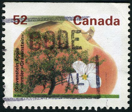Canada - 1992 - Arvores de Fruto - Gravenstein Apple - 52C