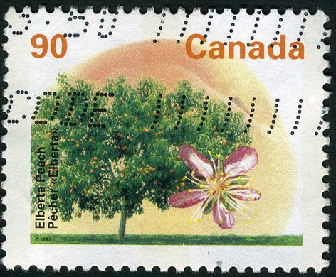 Canada - 1992 - Arvores de Fruto - Elberta Peach - 90C