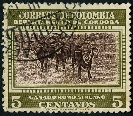 Colombia - 1956 - Departamento Cordoba Ganado Romo Sinuano - 5C