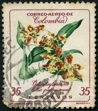 Colombia - 1960 - Orquidea Odontoglossum - 35C