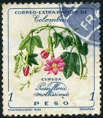 Colombia - 1960 - Curuba Passiflora Extra Rapido - 1Peso