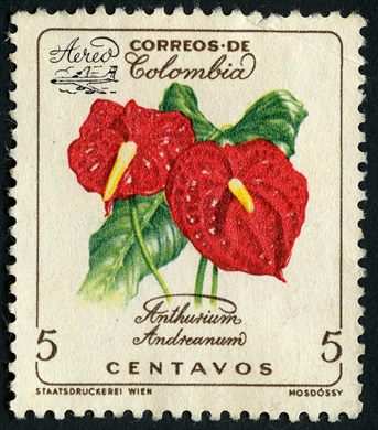 Colombia - 1960 - Anthurium Andreanum - 5C