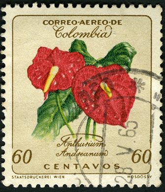 Colombia - 1960 - Anthurium Andreanum - 60C