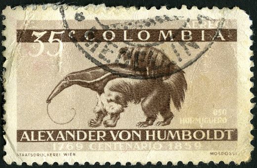 Colombia - 1960 - Centenario Humboldt - 35C