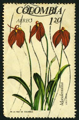 Colombia - 1967 - Orquidea Masdevallia Coccinea - 1Peso20