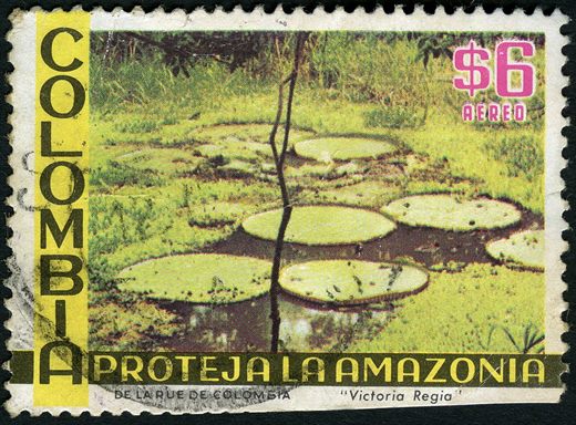 Colombia - 1976 - Proteja Amazonia Victoria Regia - 6Peso