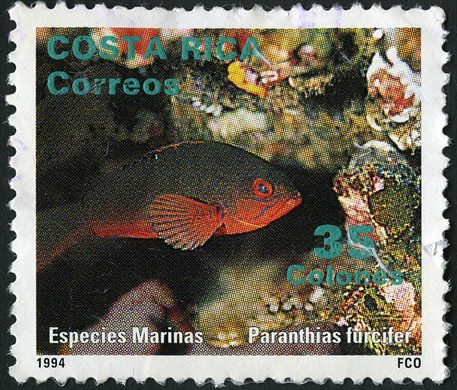 Costa Rica - 1994 - Especies Marinas Paranthias furcifer - 35Col