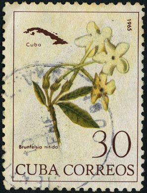 Cuba - 1954 - Industria Azucarera Aereo - 5C