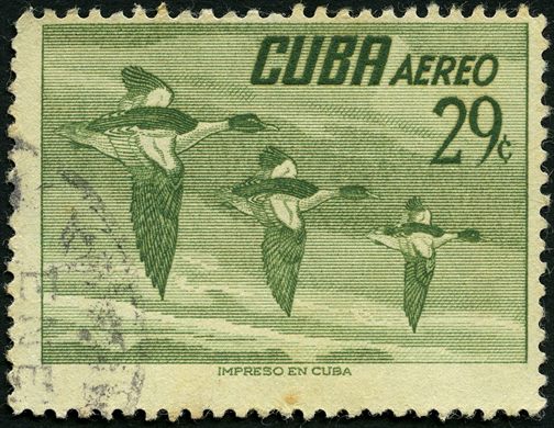 Cuba - 1956 - Aves Aereo Patos - 29C