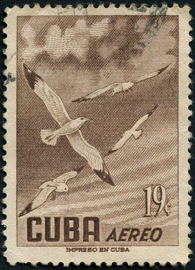 Cuba - 1956 - Aves Aereo Gaivotas - 19C