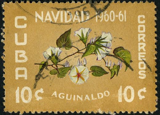 Cuba - 1960 - Natal Aguinaldo - 10C