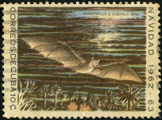 Cuba - 1962 - Natal Monophylus Cubanus - 10C