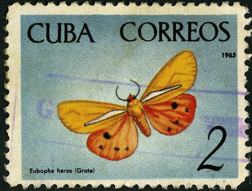 Cuba - 1965 - Borboletas Eubaphe heros - 2C