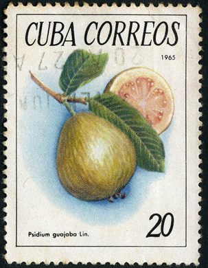 Cuba - 1965 - Flora Brunfelsia Nitida - 30C