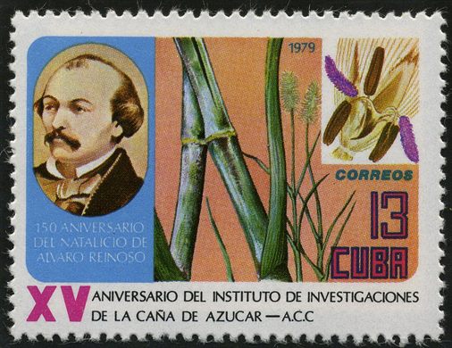Cuba - 1979 - Instituto Cana de Acucar Alvaro Reinoso - 13C