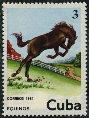 Cuba - 1981 - Equinos Cavalo - 3C