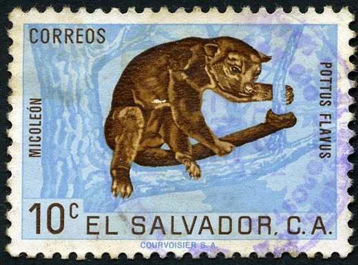 El Salvador - 1954 - Cooperativa de Pescadores de Acajutla - 1C